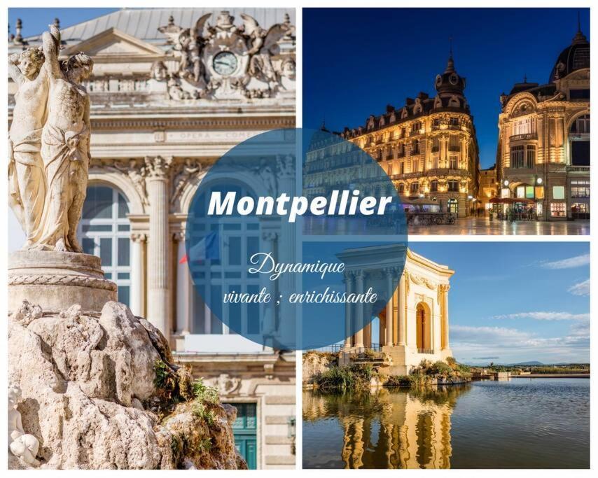 L'Etang De L'Or *Joli T2 * Plage A 10 Min * Proche Montpellier カルノン・プラージュ エクステリア 写真